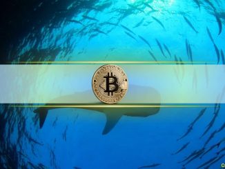Bitcoin Whales Accumulate $941M BTC in 24 Hours as Prices Drop, What Does This Mean?